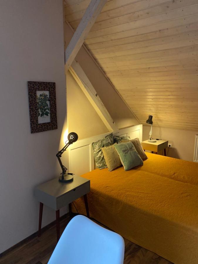 Apartmany Rudik Železná Ruda Екстериор снимка